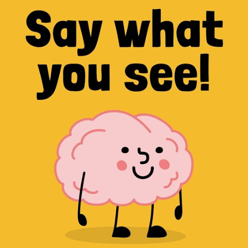 Say what you see!